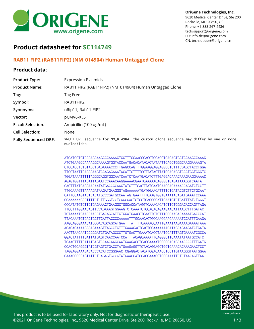 RAB11 FIP2 (RAB11FIP2) (NM 014904) Human Untagged Clone – SC114749 | Origene