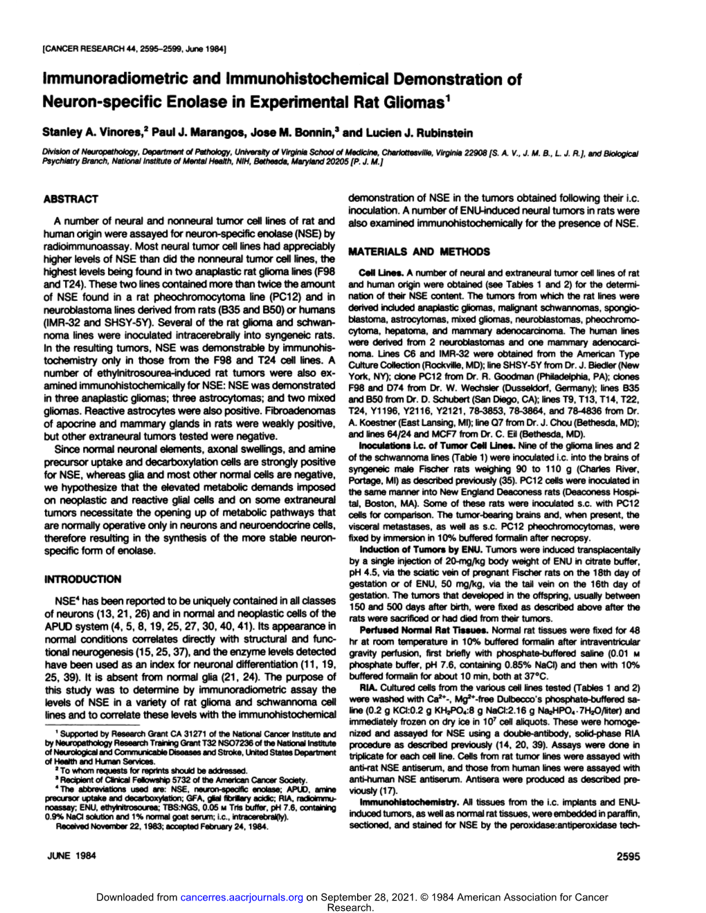 Immunoradiometric and Immunohistochemical Demonstration of Neuron-Specific Enolase in Experimental Rat Gliomas1