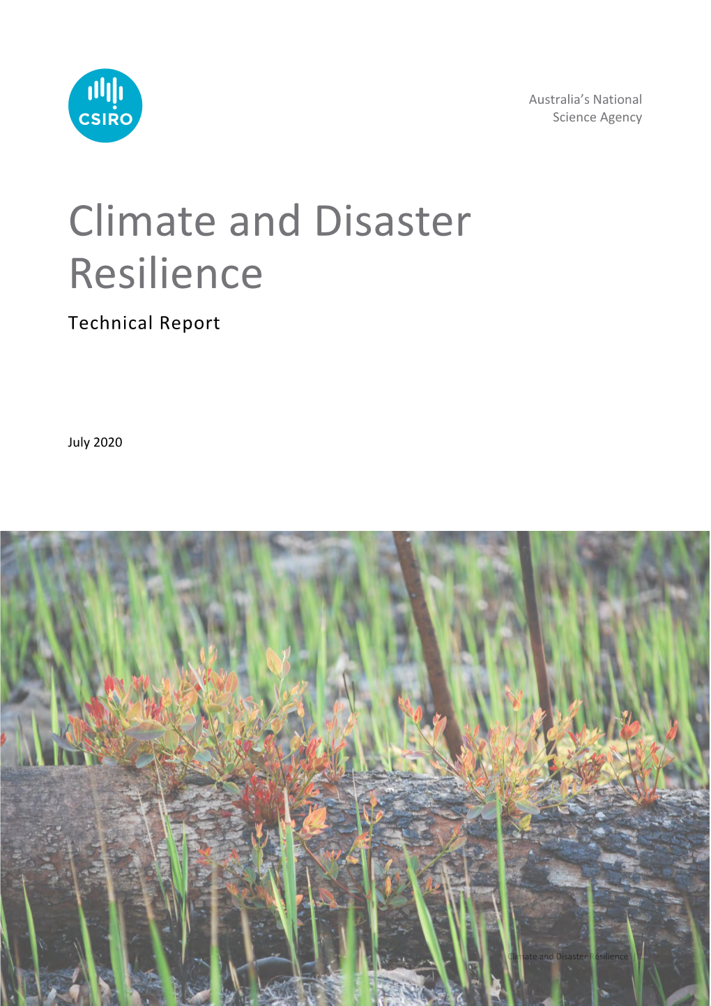 Climate and Disaster Resilience (Technical Report)