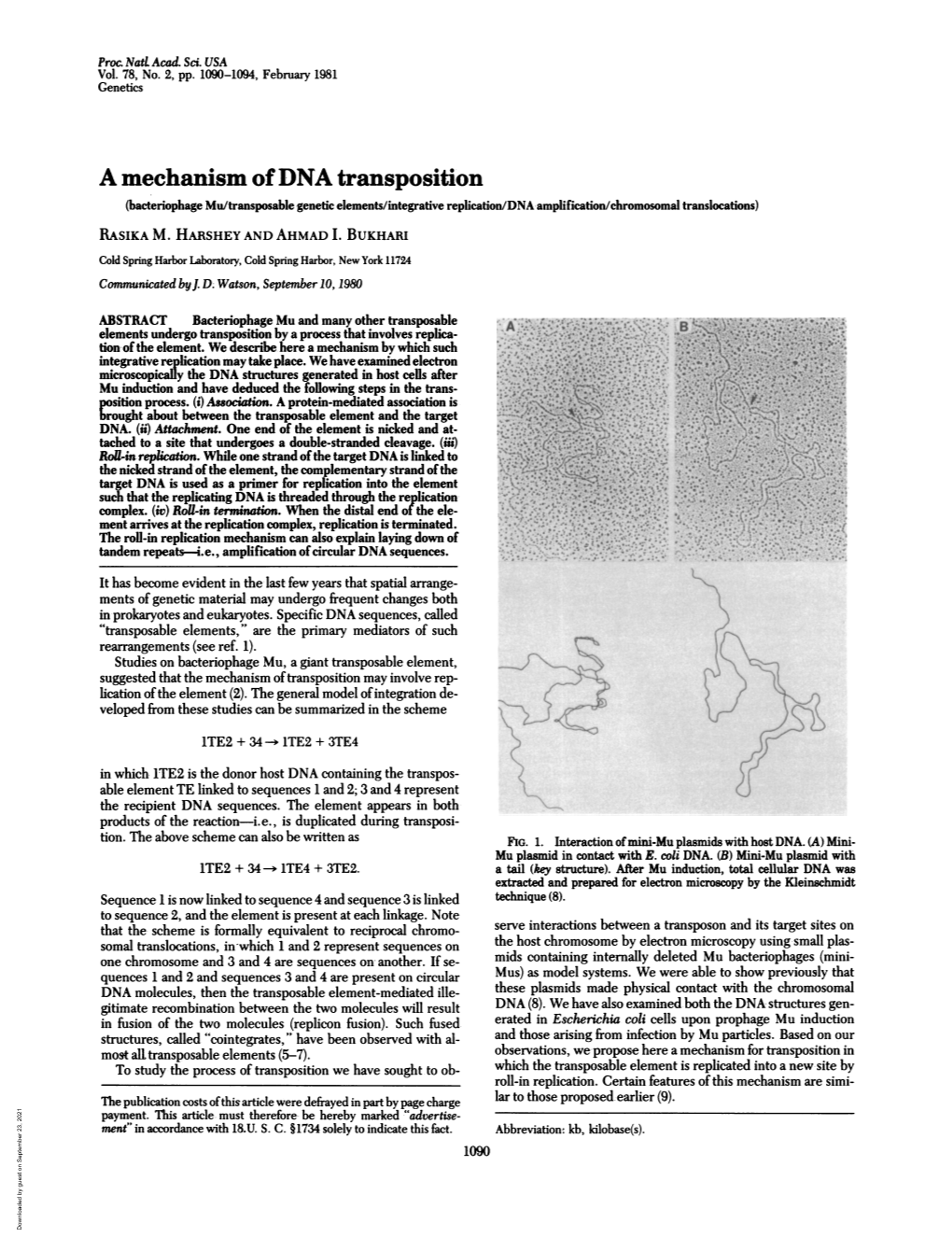 A Mechanism of DNA Transposition