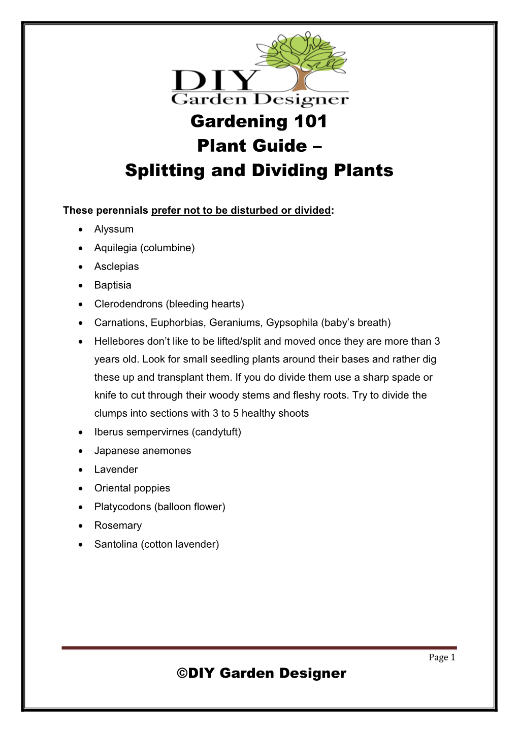 Gardening 101 Plant Guide – Splitting and Dividing Plants