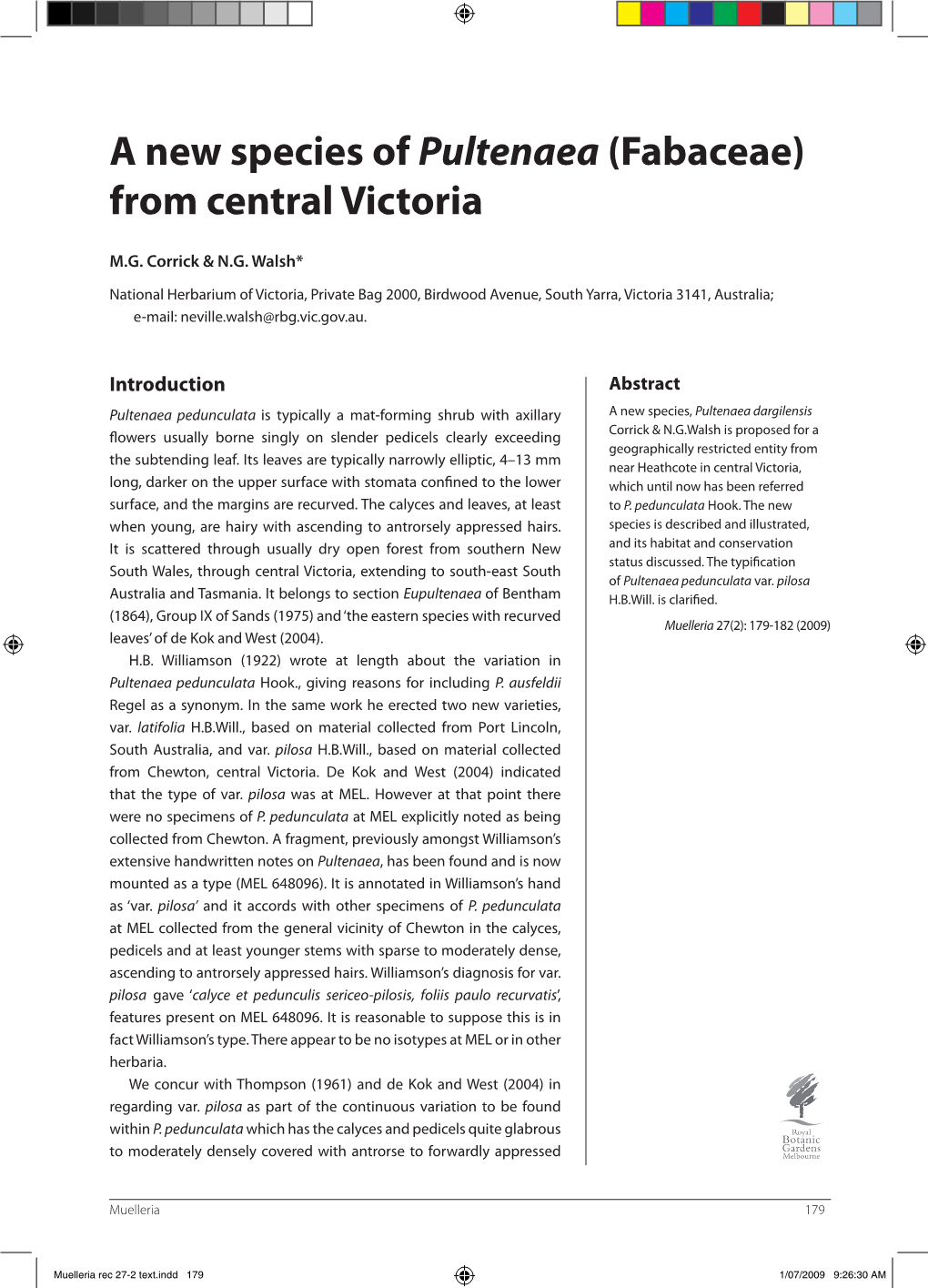 A New Species of Pultenaea (Fabaceae) from Central Victoria