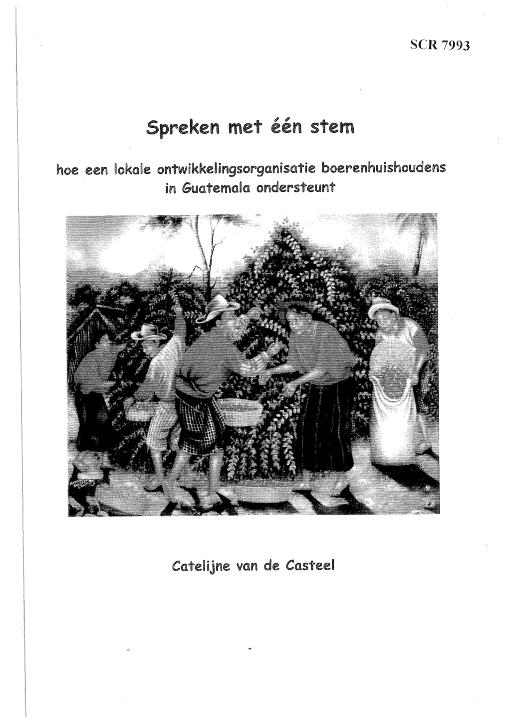 Spreken Met Één Stem Hoe Een Lokale Ontwikkelingsorganisatie Boerenhuishoudens in Guatemala Ondersteunt