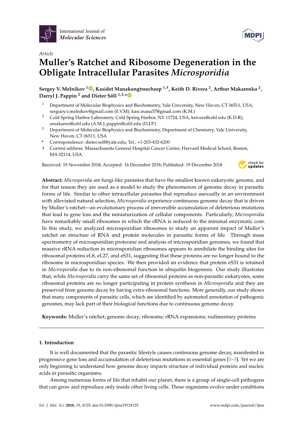 Muller's Ratchet and Ribosome Degeneration in the Obligate