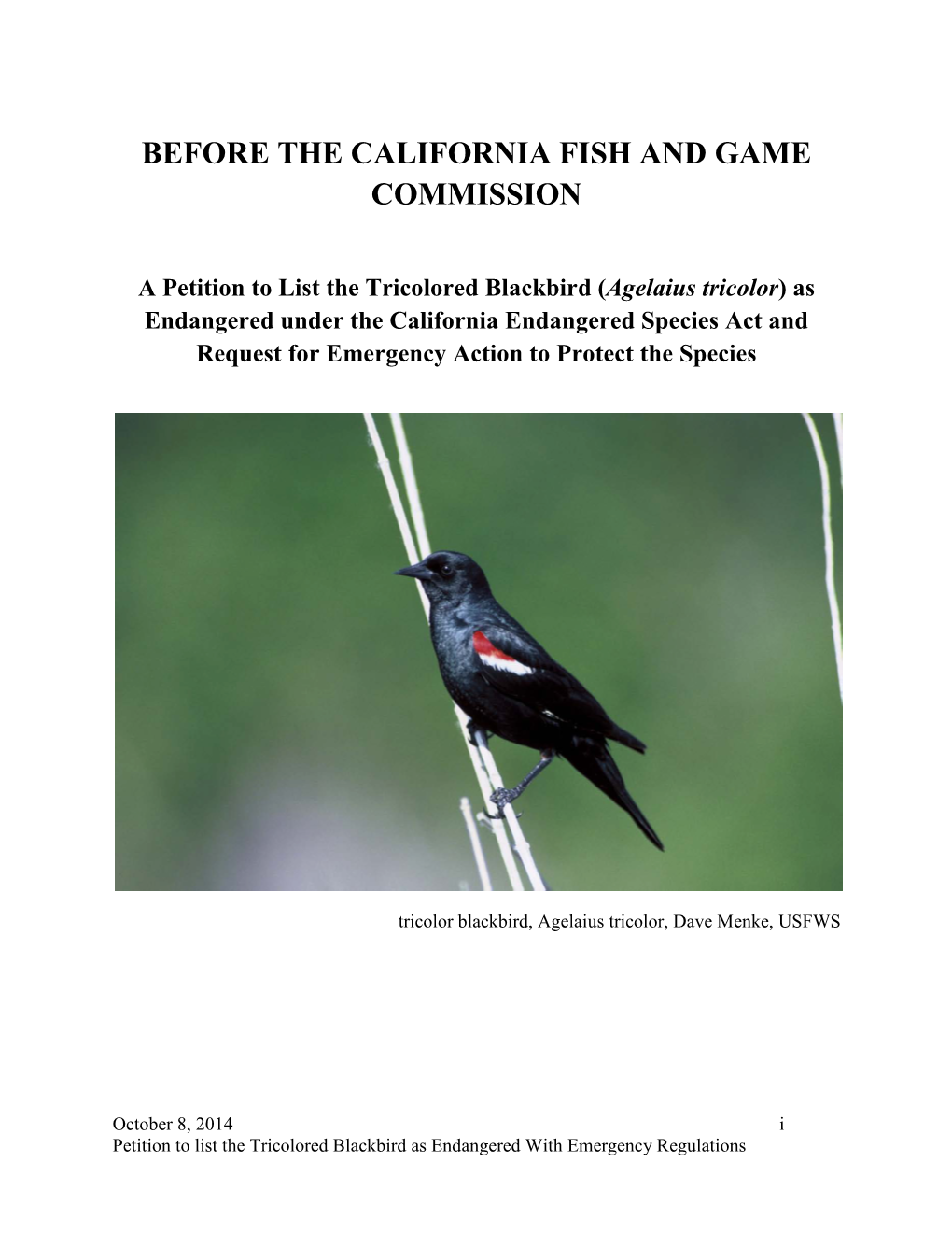 Endangered Species Act Petition to List the Tricolored Blackbird