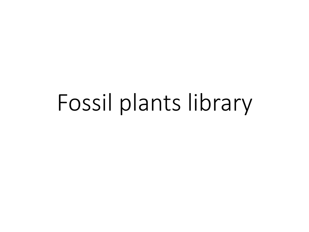 Fossil Plants Library -0.1