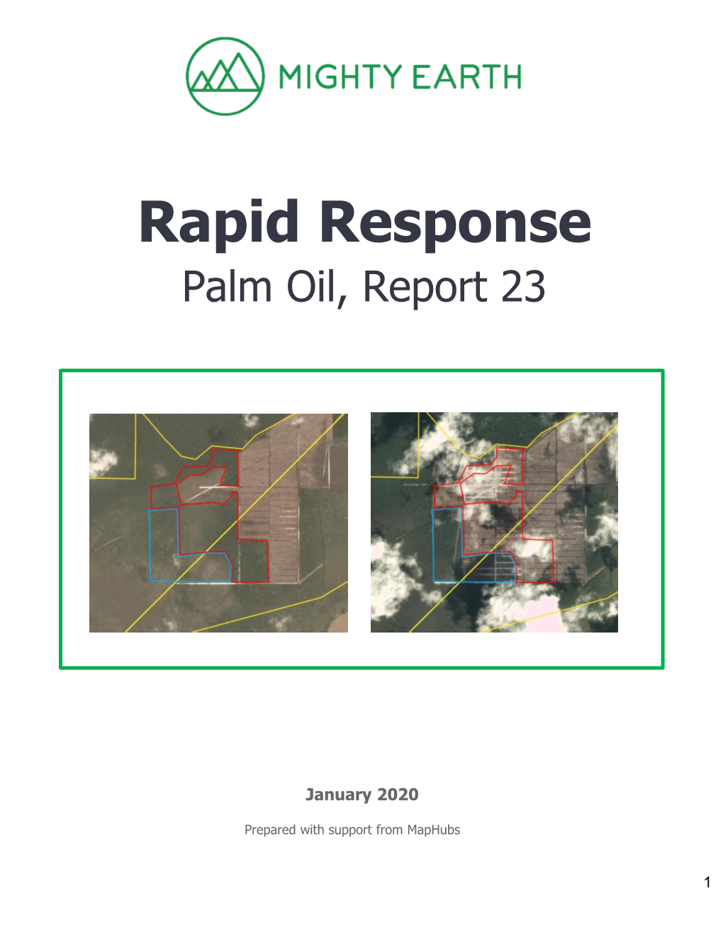 Rapid-Response-Report-23 Final.Pdf
