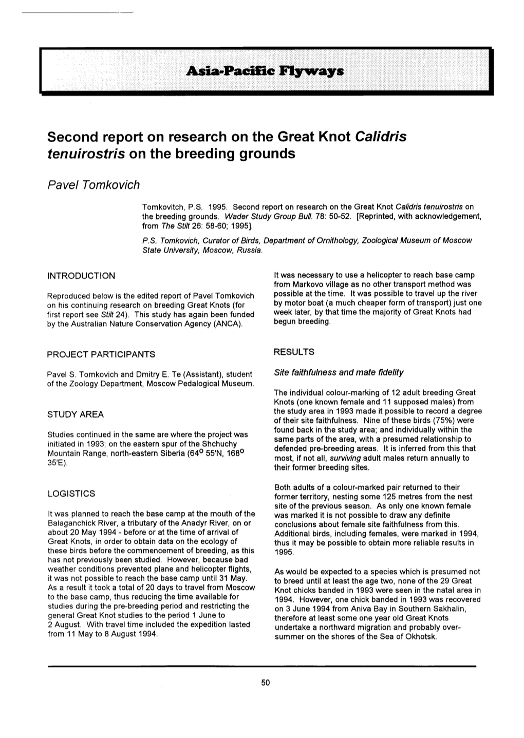 Second Report on Research on the Great Knot &lt;I&gt;Calidris Tenuirostris