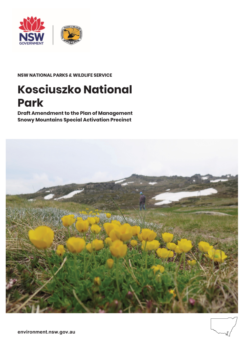 Kosciuszko National Park Draft Amendment to the Plan of Management Snowy Mountains Special Activation Precinct