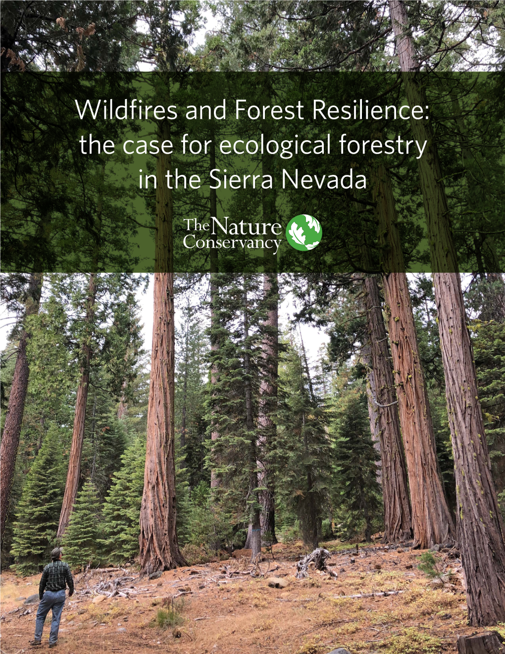 Wildfires and Forest Resilience: the Case for Ecological Forestry in the Sierra Nevada Citation: Kelsey, Rodd