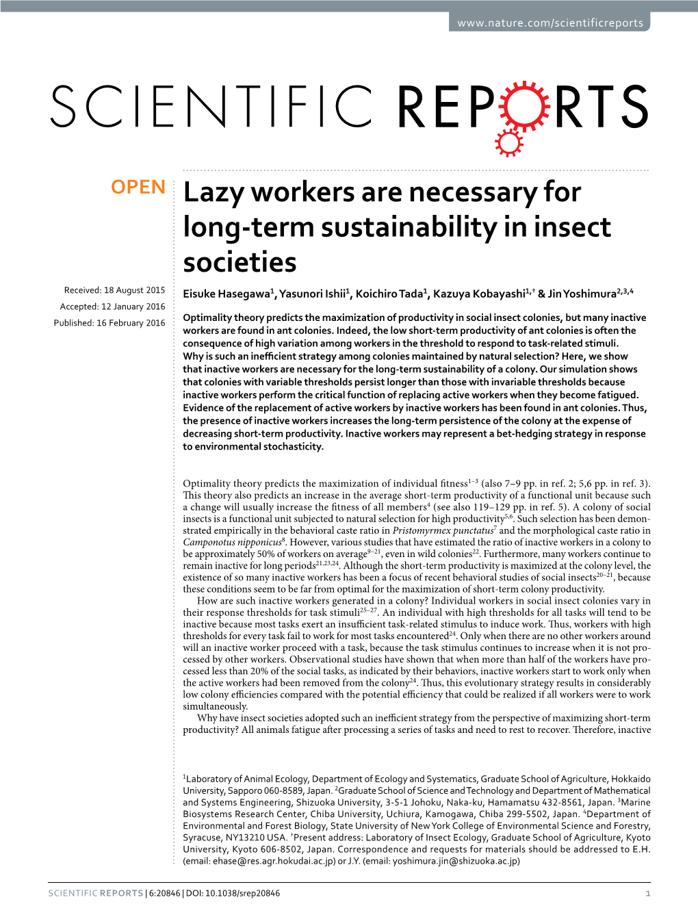 Lazy Workers Are Necessary for Long-Term Sustainability in Insect