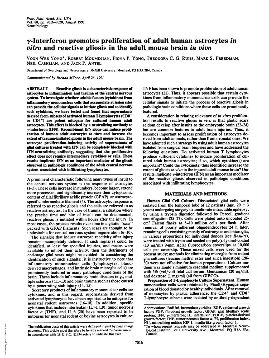 Vitro and Reactive Gliosis in the Adult Mouse Brain in Vivo VOON WEE YONG*, ROBERT MOUMDJIAN, FIONA P