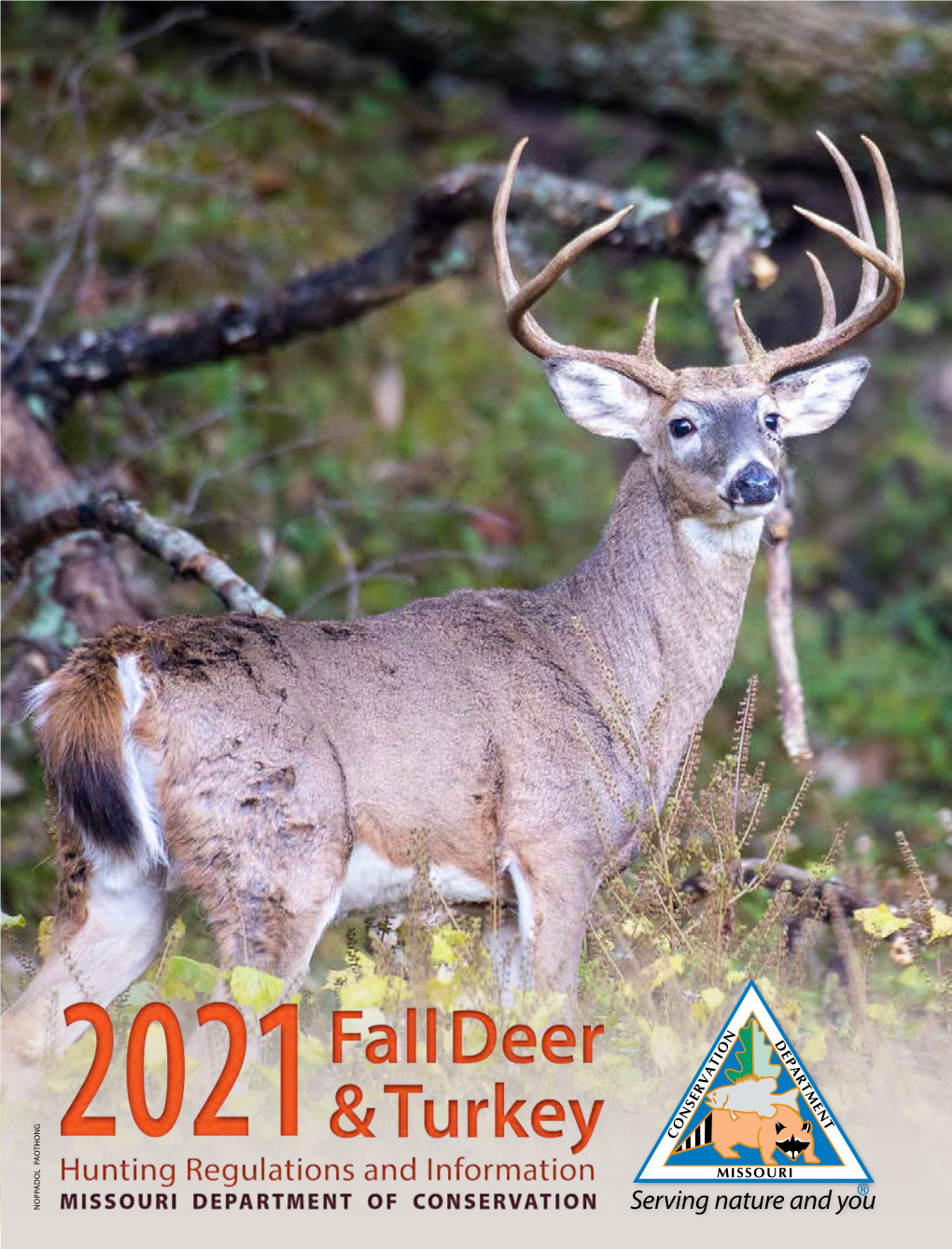 2021 Fall Deer & Turkey Hunting Regulations and Information