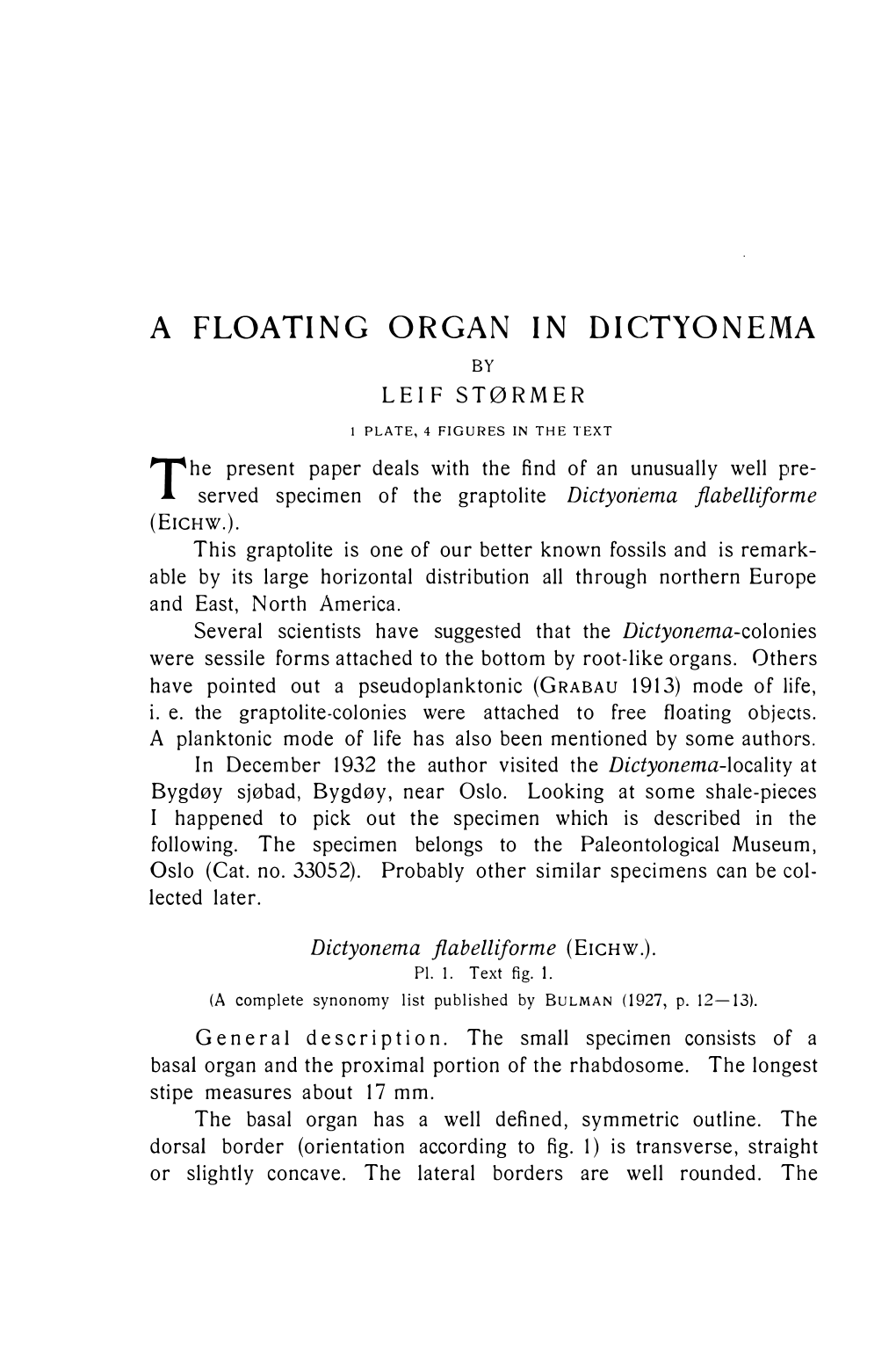 A Floating Organ in Dictyonema