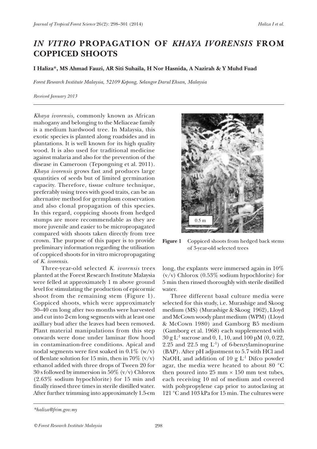 In Vitro Propagation of Khaya Ivorensis from Coppiced Shoots