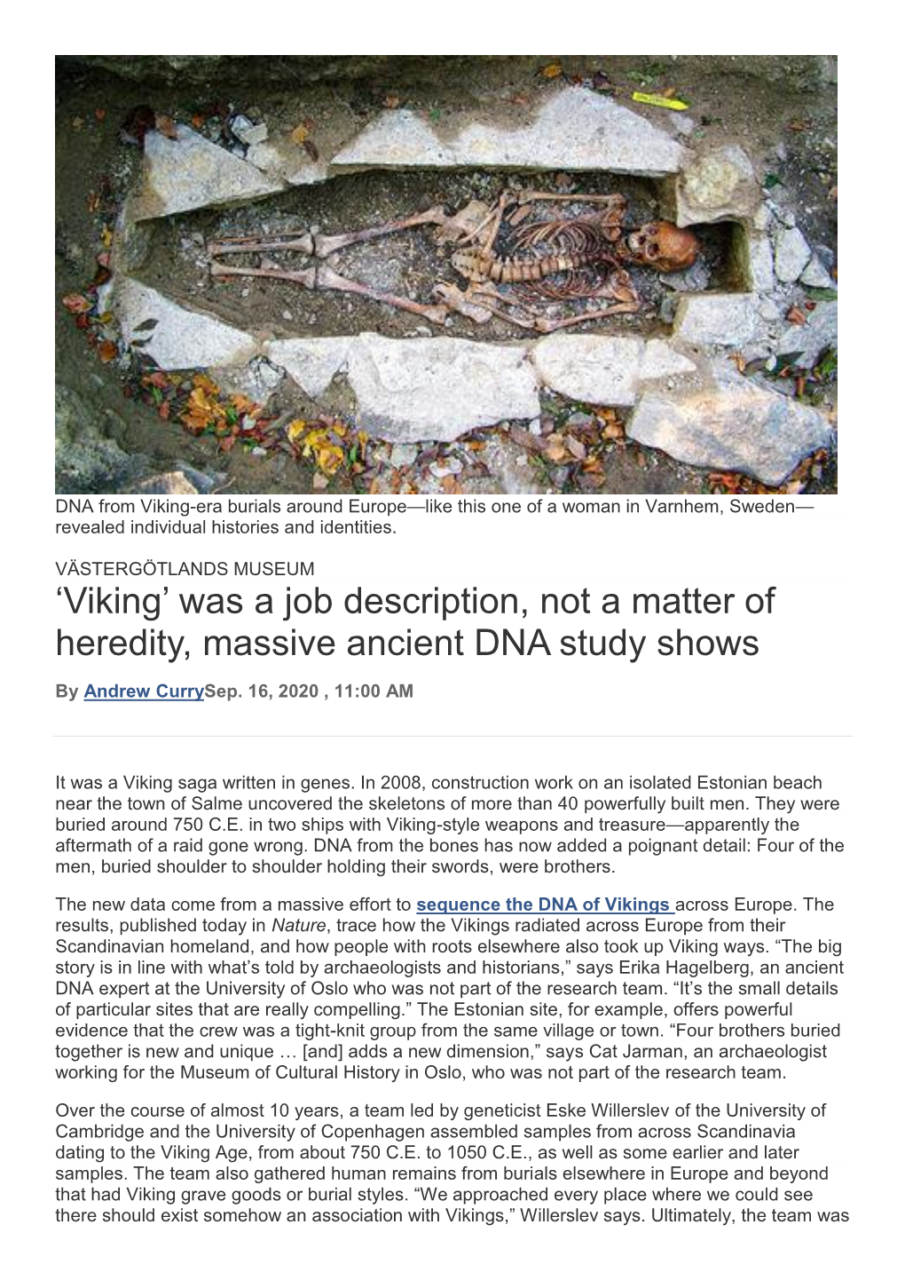 'Viking' Was a Job Description, Not a Matter of Heredity, Massive Ancient