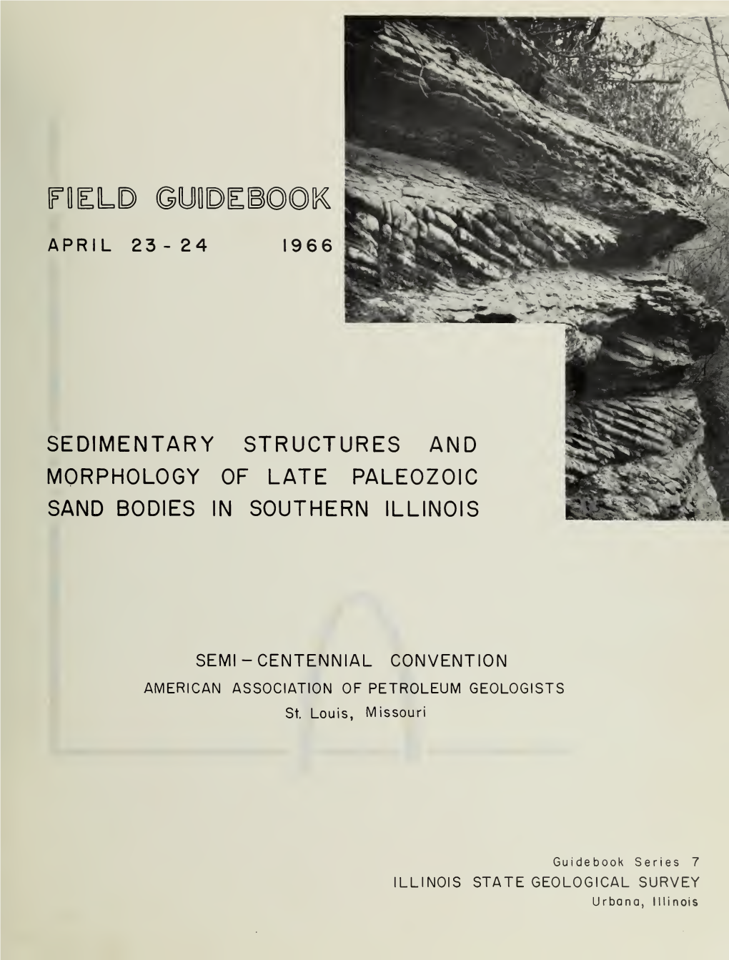 Sedimentary Structures and Morphology of Late Paleozoic Sand Bodies in Southern Illinois