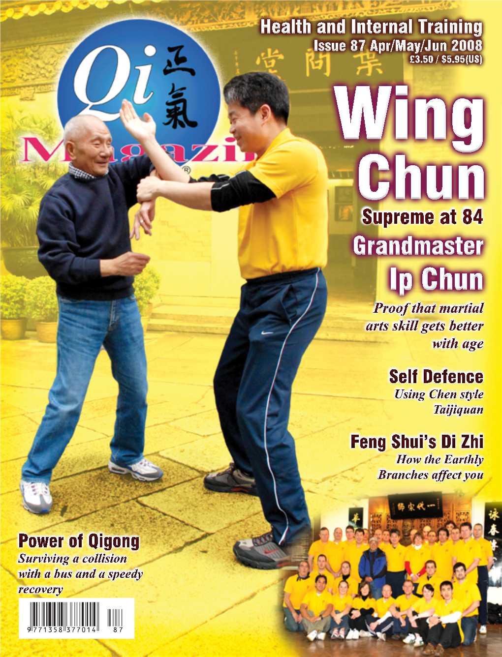 Wing Chun Kung Fu