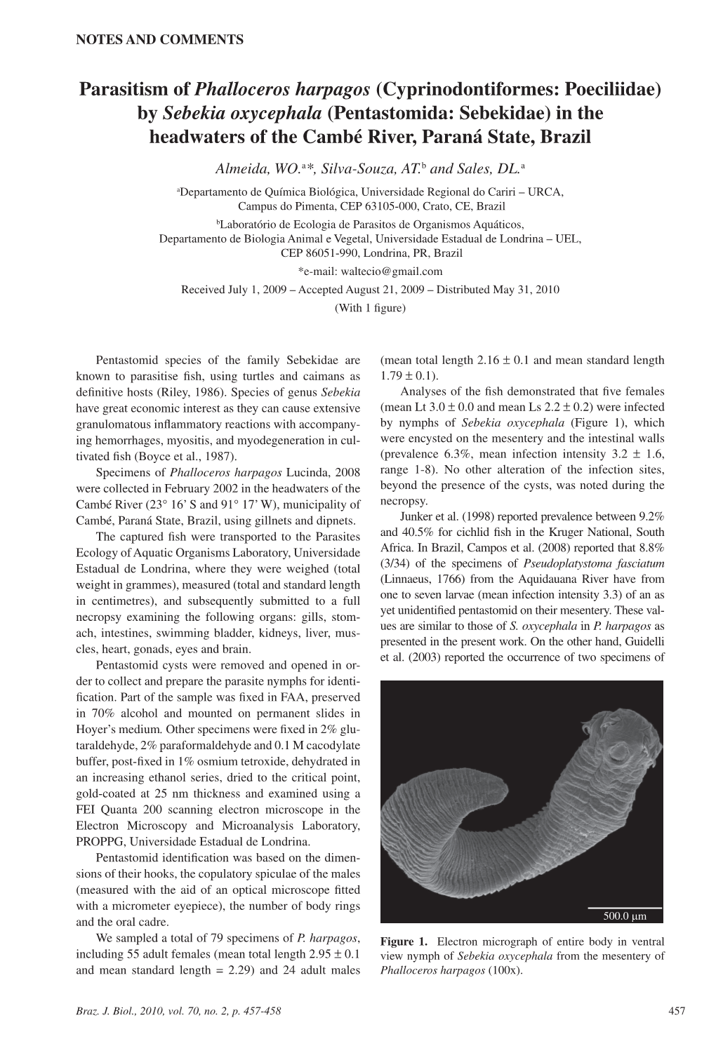 Parasitism of Phalloceros Harpagos (Cyprinodontiformes