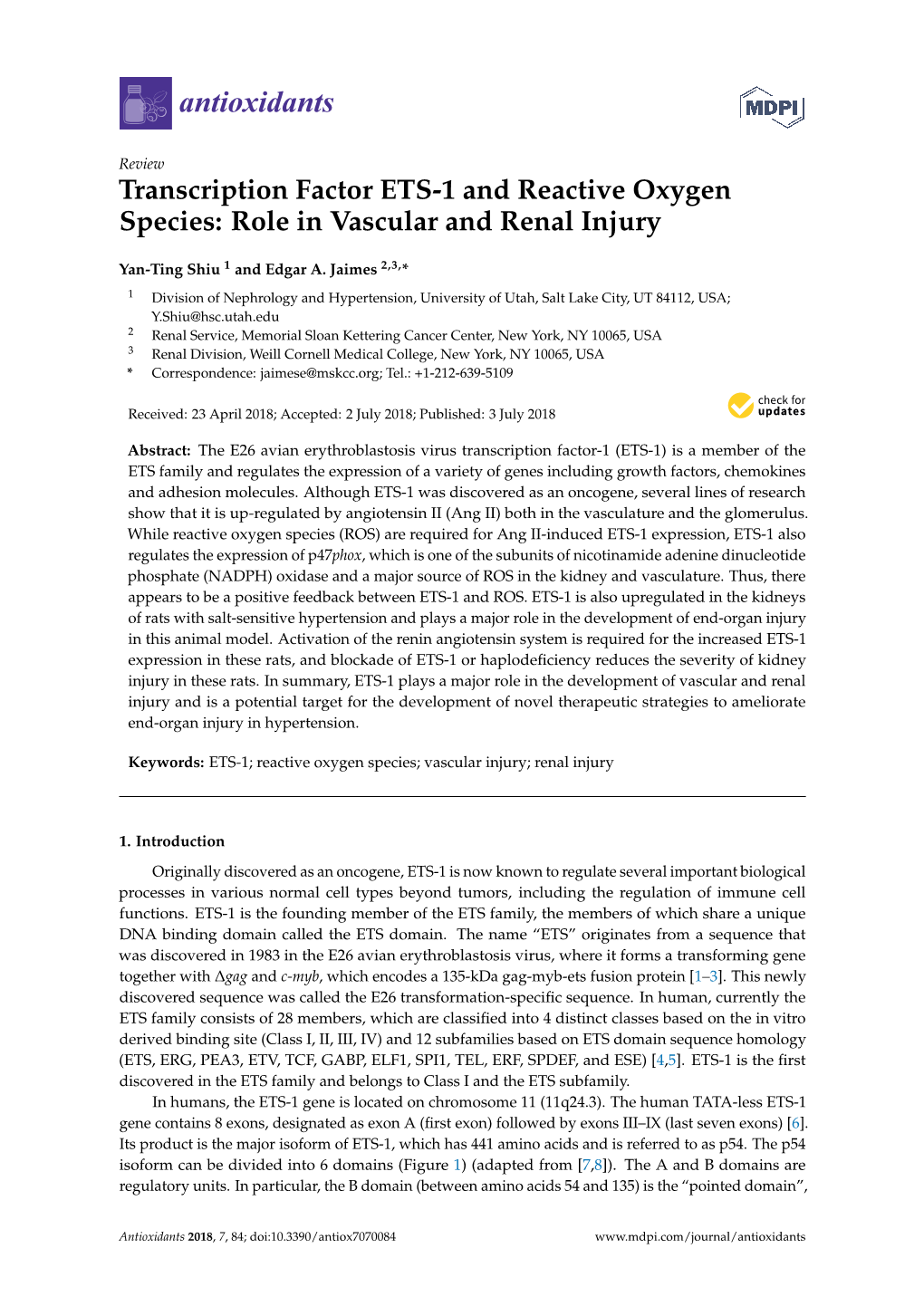 Transcription Factor ETS-1 and Reactive Oxygen Species: Role in Vascular and Renal Injury