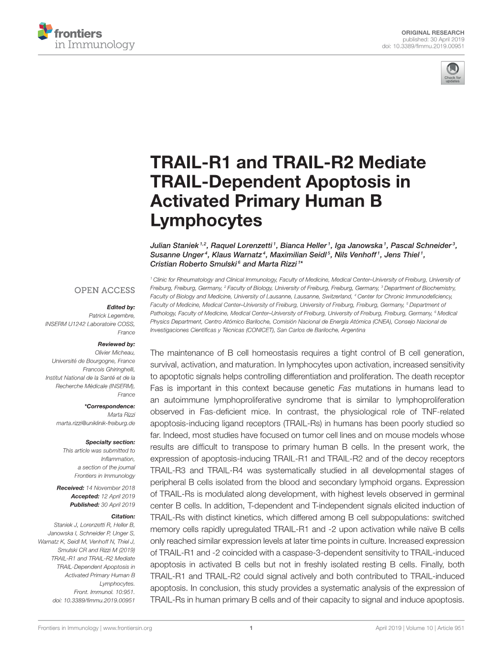 TRAIL-R1 and TRAIL-R2 Mediate TRAIL-Dependent Apoptosis in Activated Primary Human B Lymphocytes