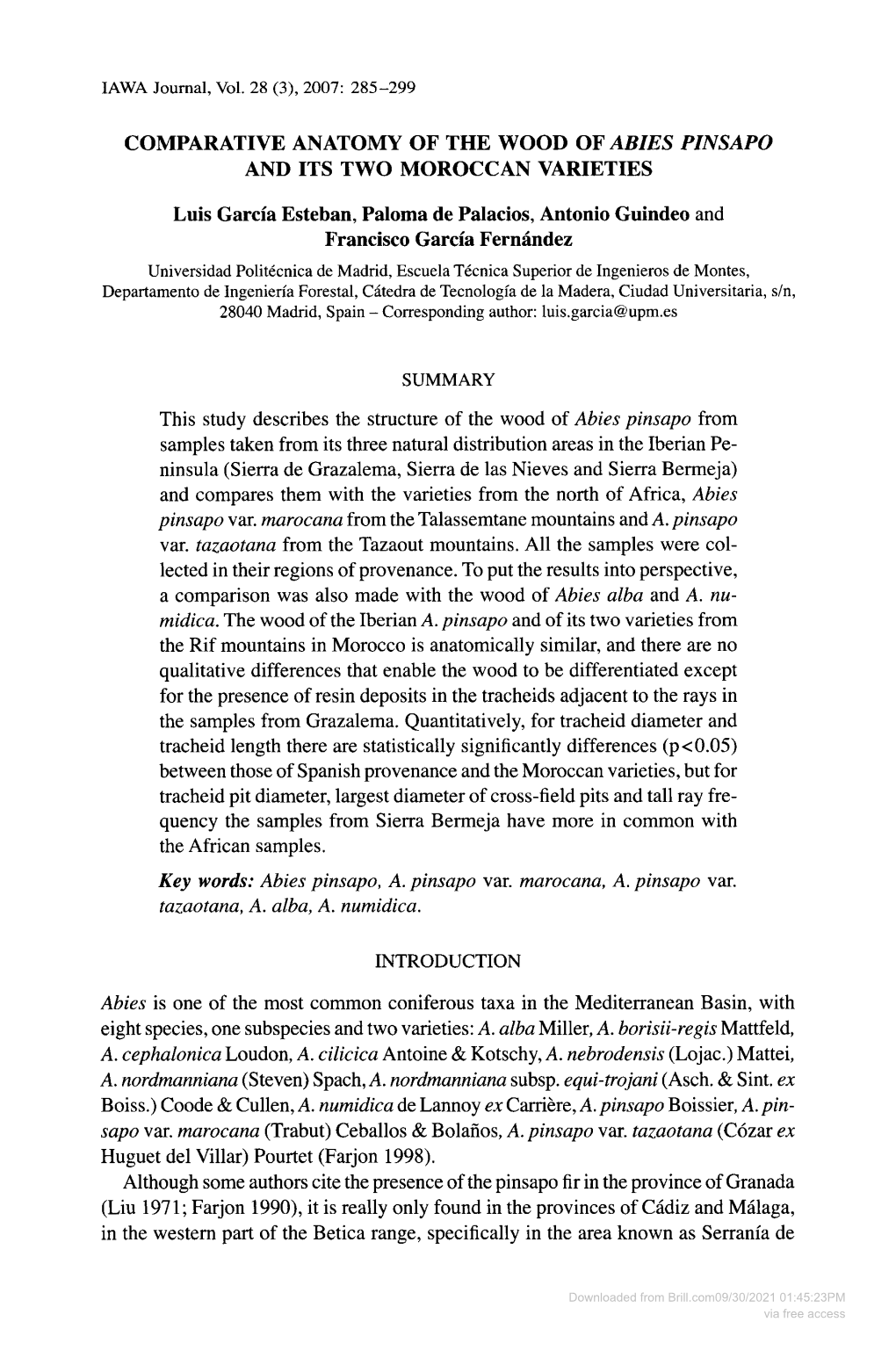 Comparative Anatomy of the Wood of Ab/Es P/Nsapo and Its Two Moroccan Varieties