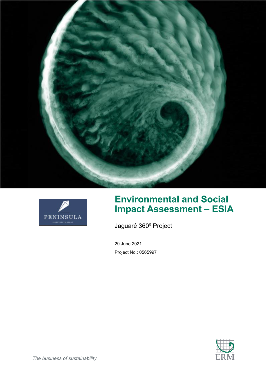 Environmental and Social Impact Assessment – ESIA