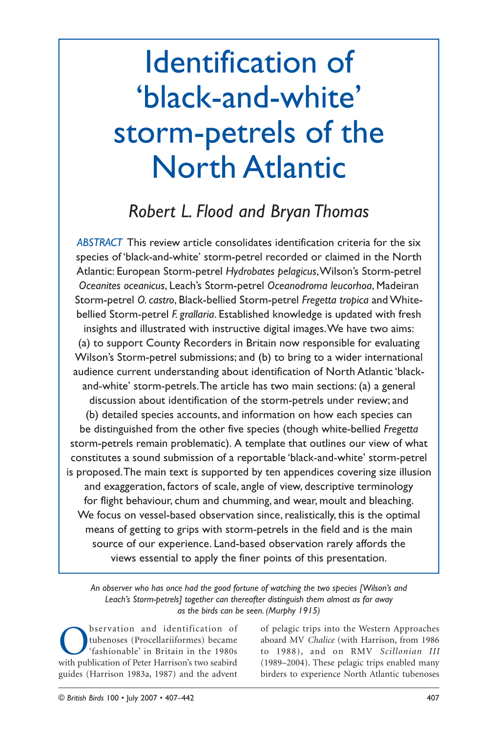 Identification of 'Black-And-White' Storm-Petrels of the North Atlantic