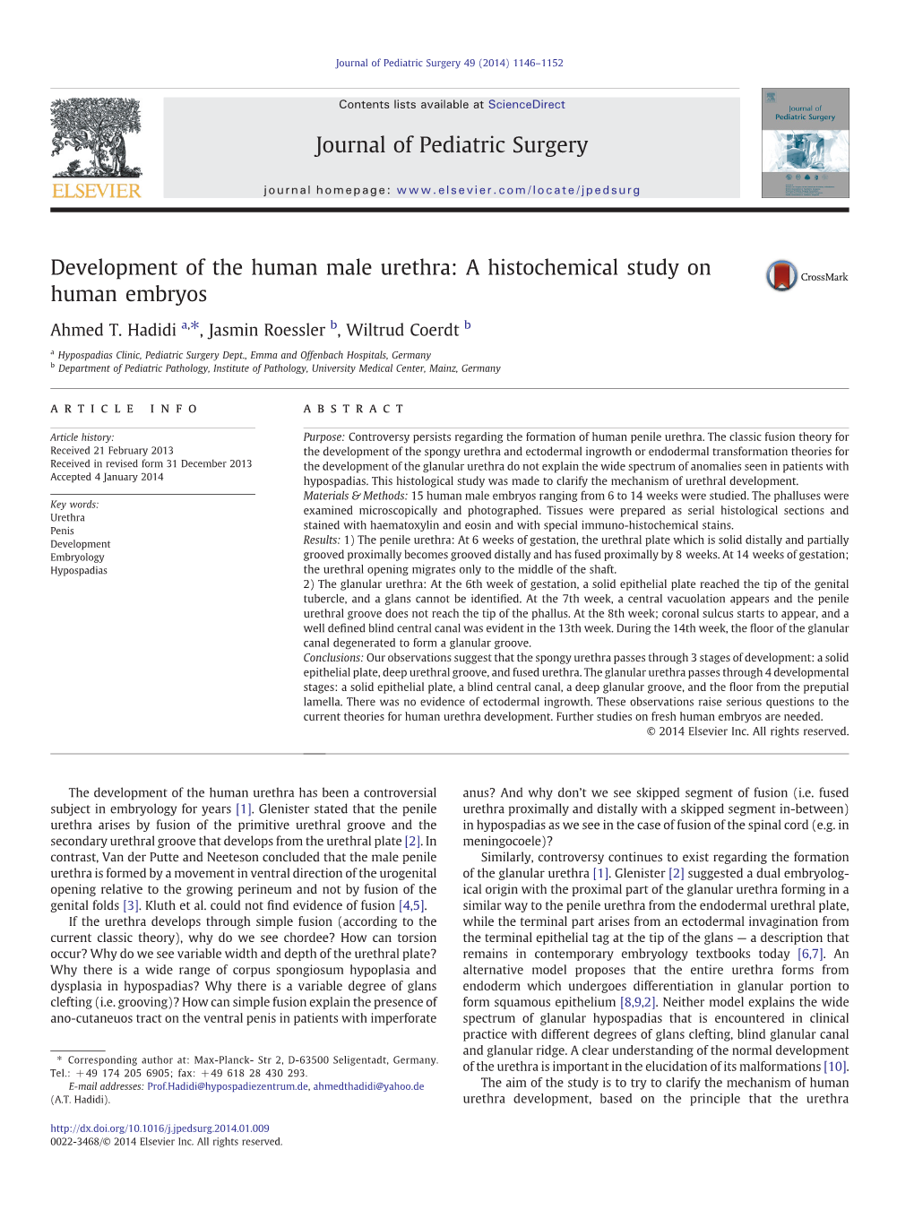 Development of the Human Male Urethra: a Histochemical Study on Human Embryos