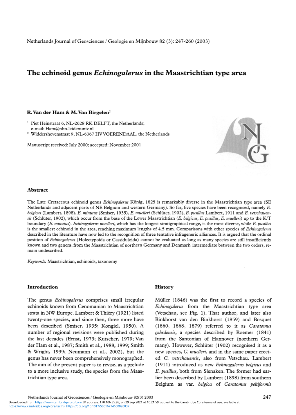 The Echinoid Genus Echinogalerus in the Maastrichtian Type Area