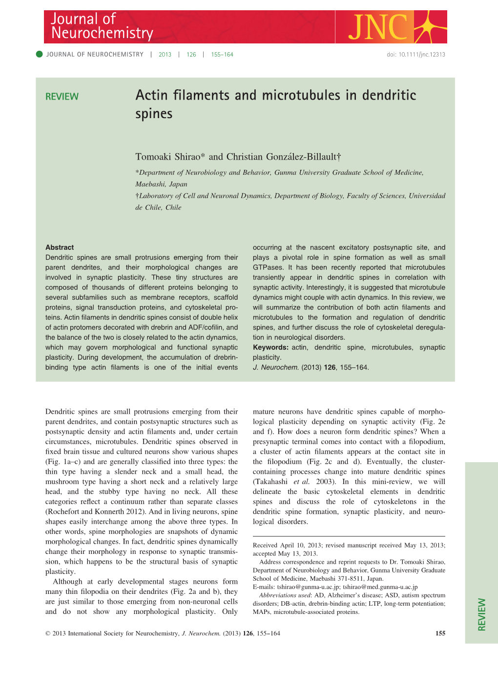 Actin Filaments and Microtubules in Dendritic Spines