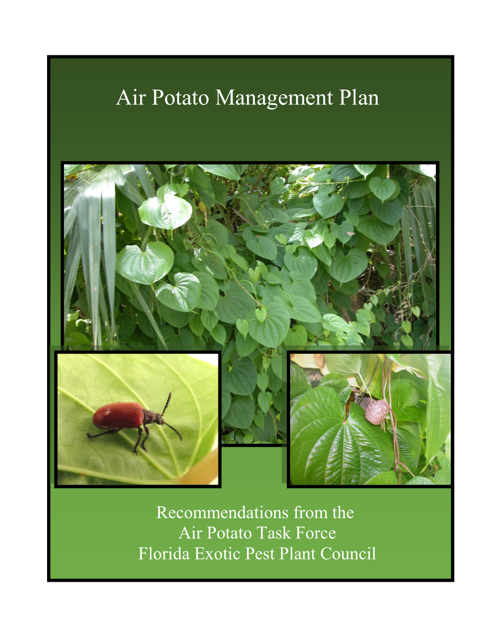 Air Potato Management Plan