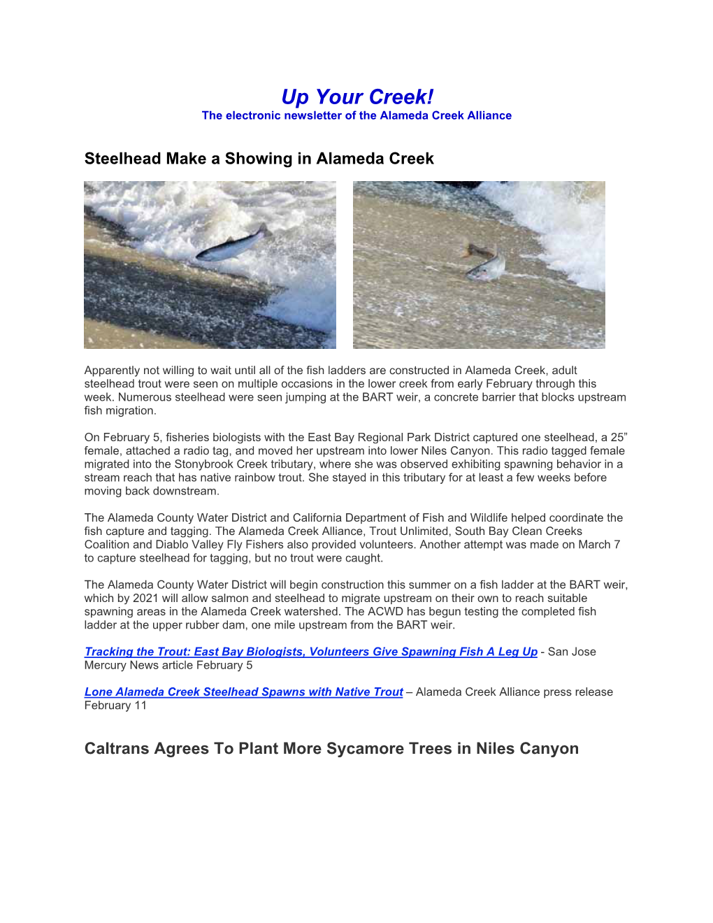 Up Your Creek! the Electronic Newsletter of the Alameda Creek Alliance