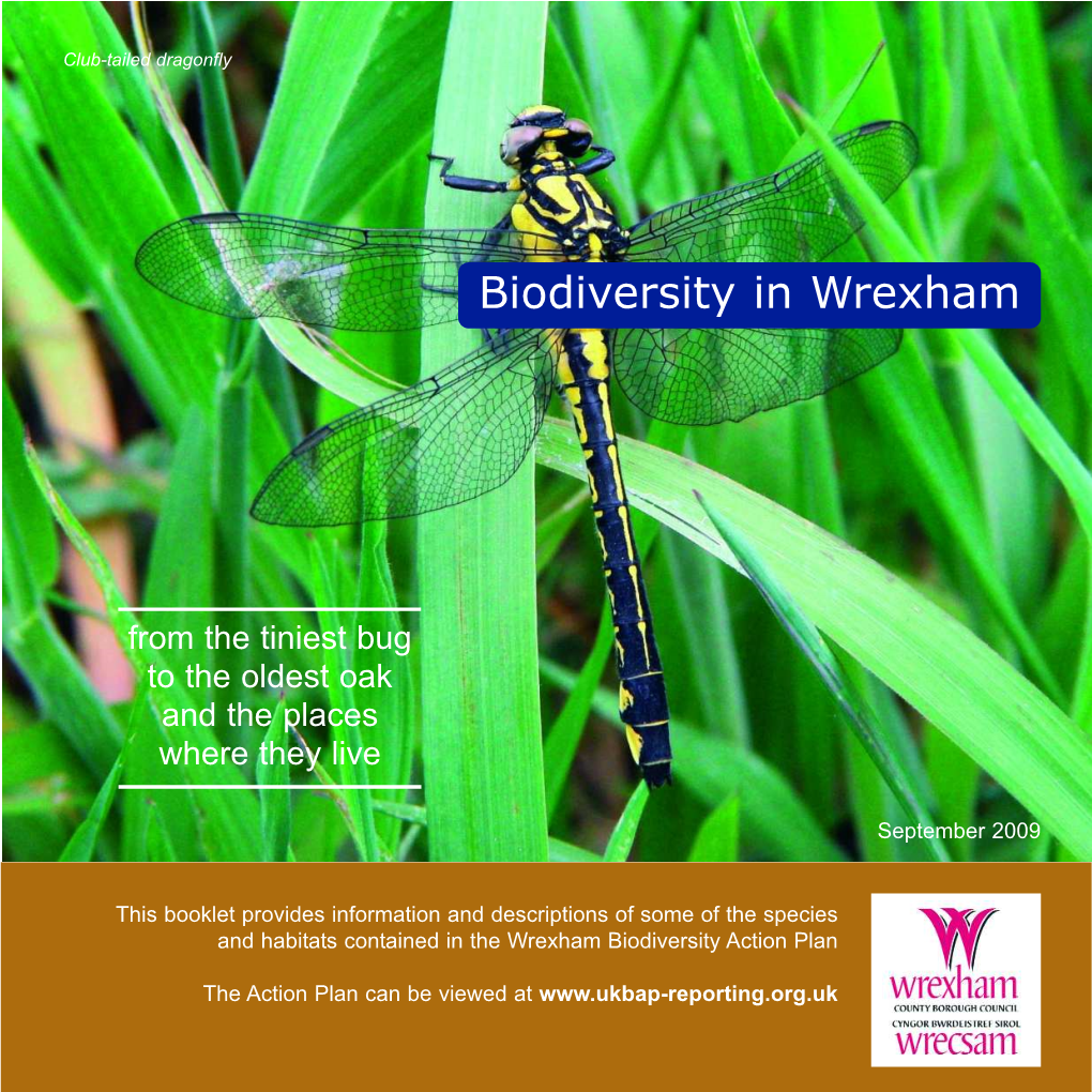 Biodiversity in Wrexham