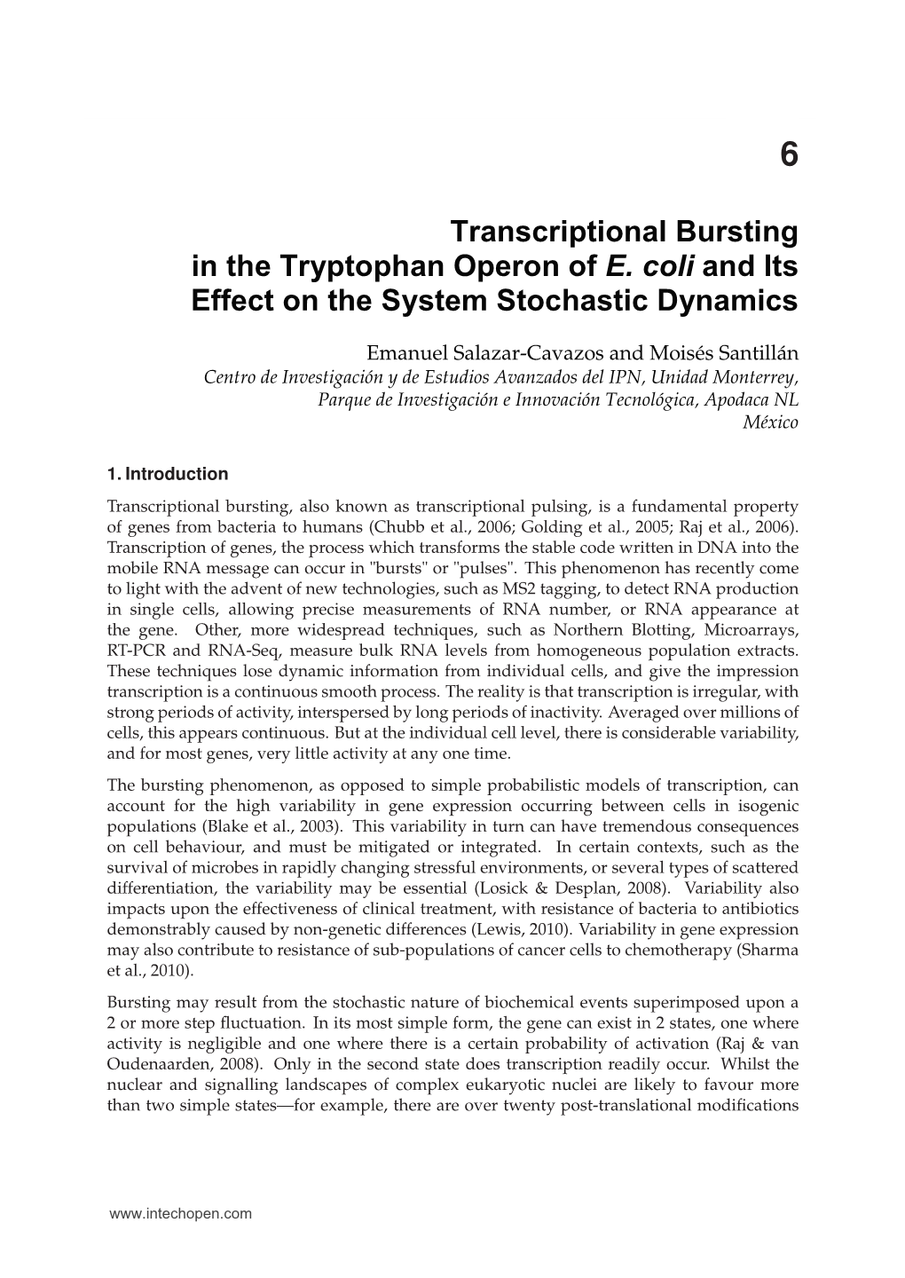 Transcriptional Bursting in the Tryptophan Operon of E