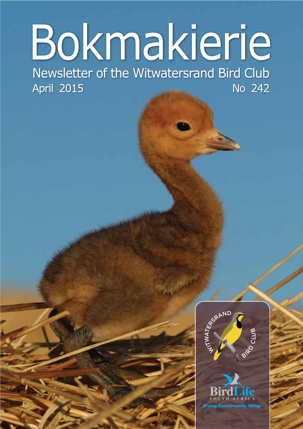 Bokmakierie Newsletter of the Witwatersrand Bird Club April 2015 No 242