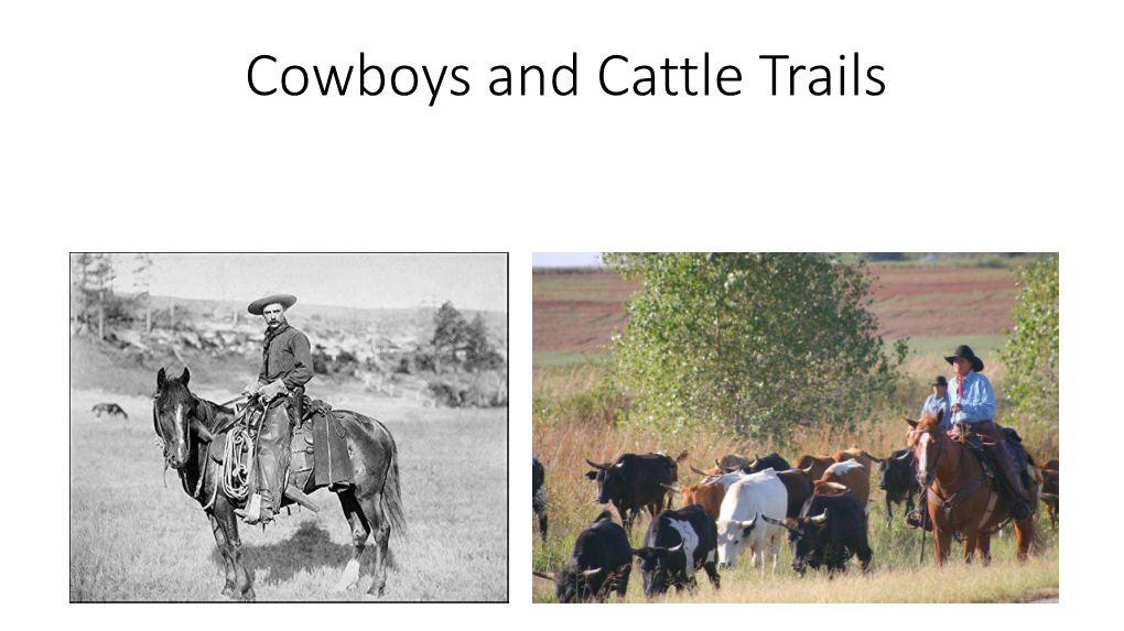 Cowboys and Cattle Trails