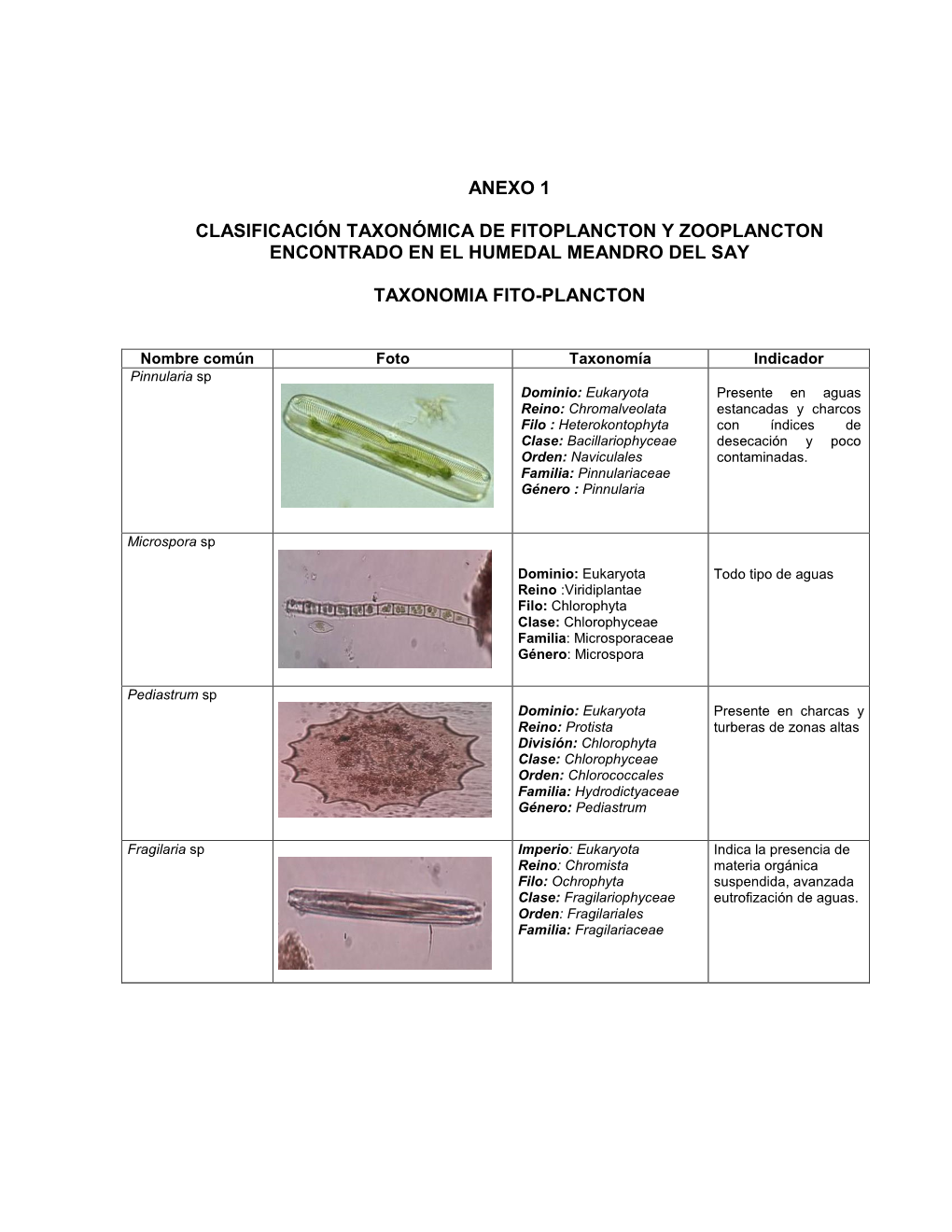 Anexo 1 Clasificación Taxonómica De Fitoplancton Y Zooplancton