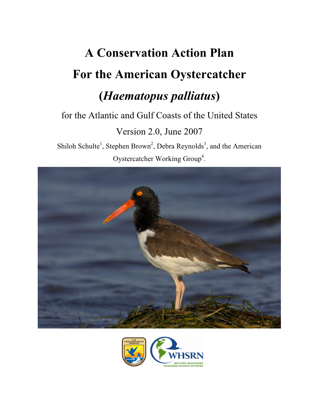 A Conservation Action Plan for the American Oystercatcher
