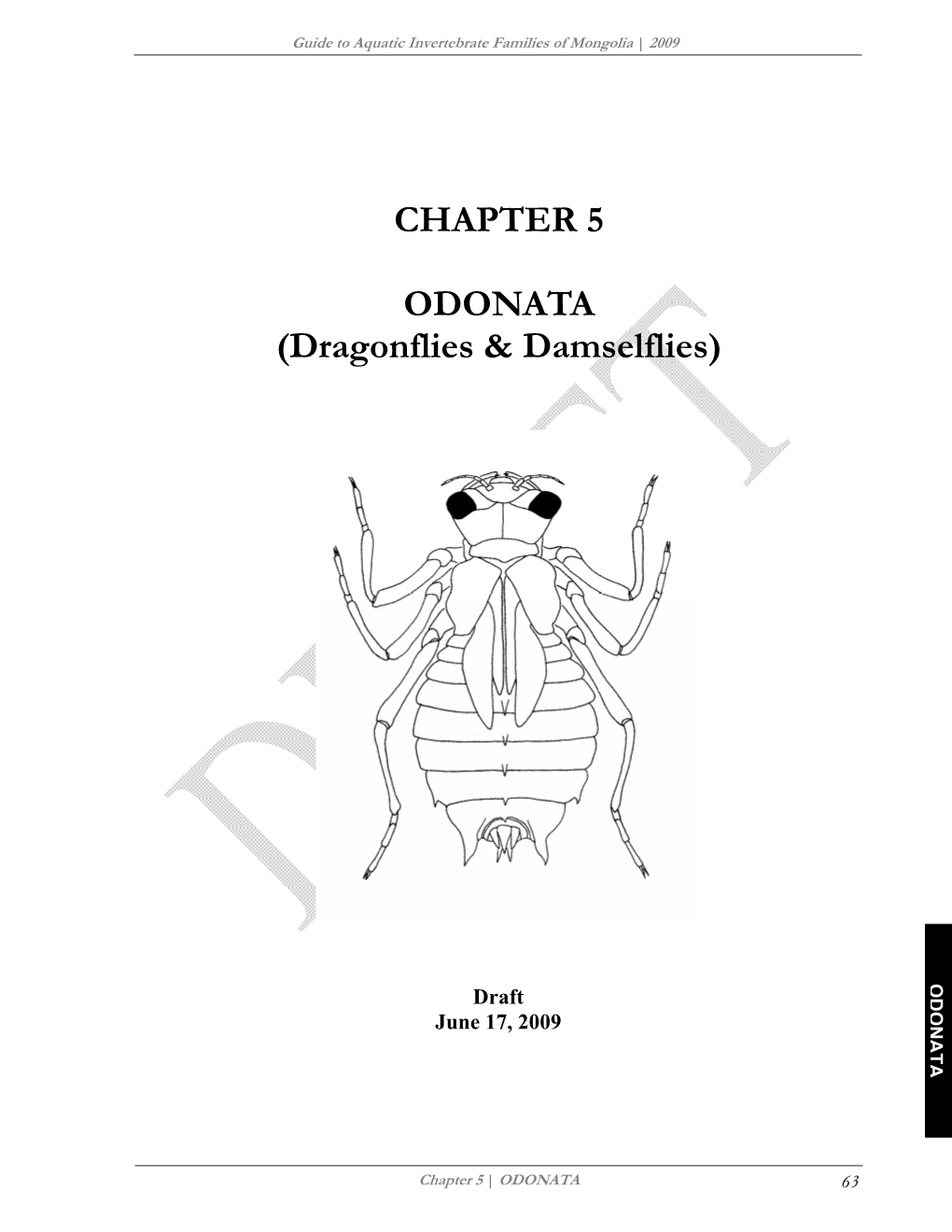 CHAPTER 5 ODONATA (Dragonflies & Damselflies)