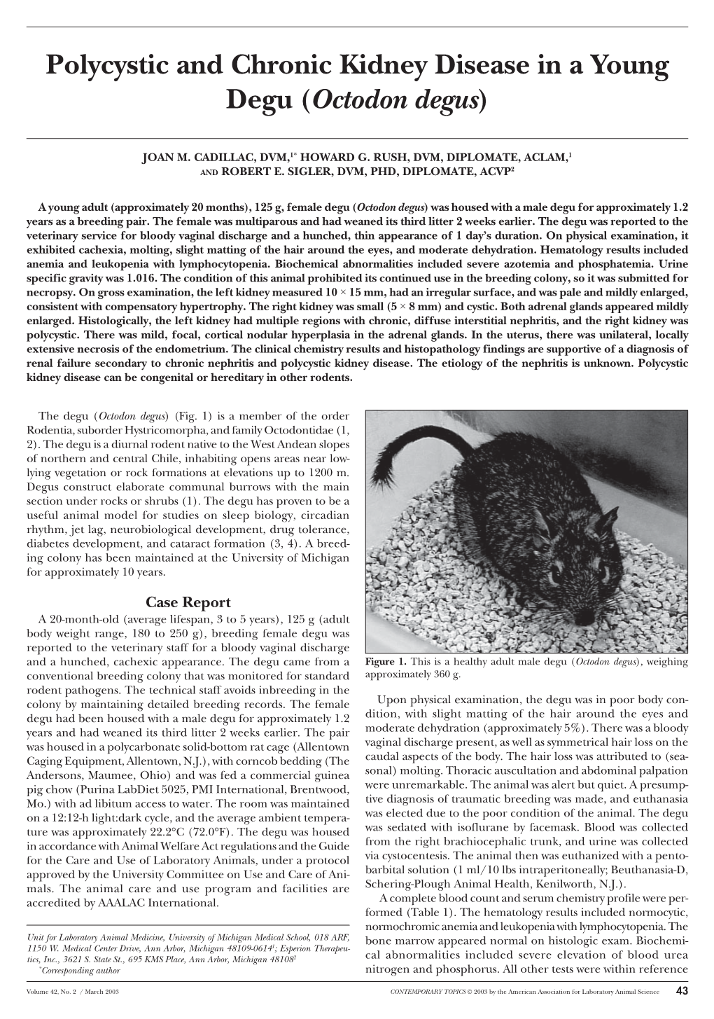 Polycystic and Chronic Kidney Disease in a Young Degu (&lt;I&gt;Octodon Degus&lt;/I&gt;)