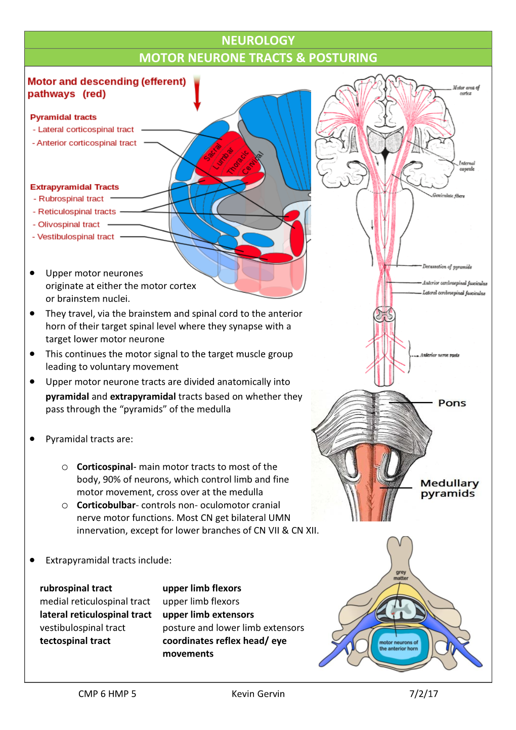 Neurology Motor Neurone Tracts & Posturing