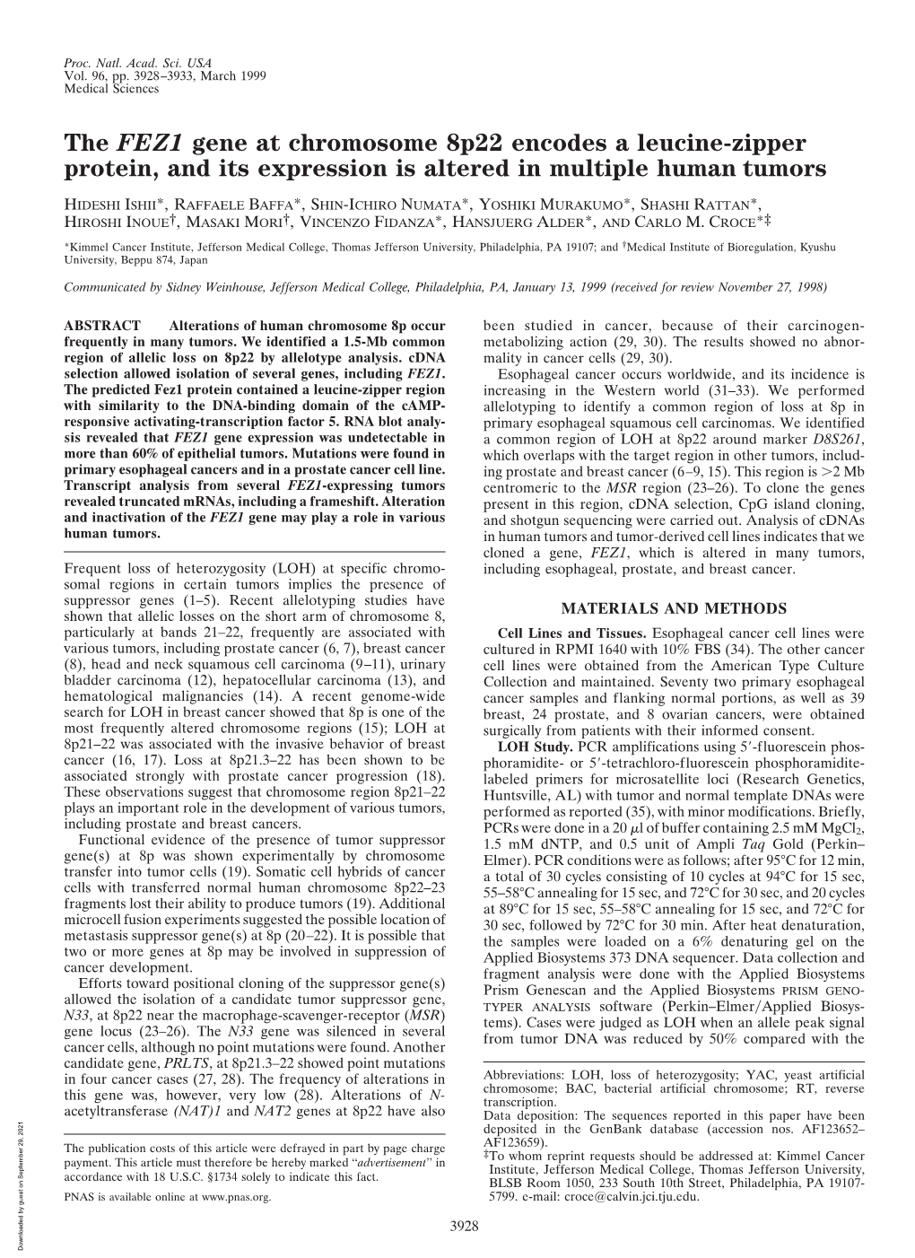 The FEZ1 Gene at Chromosome 8P22 Encodes a Leucine-Zipper Protein, and Its Expression Is Altered in Multiple Human Tumors