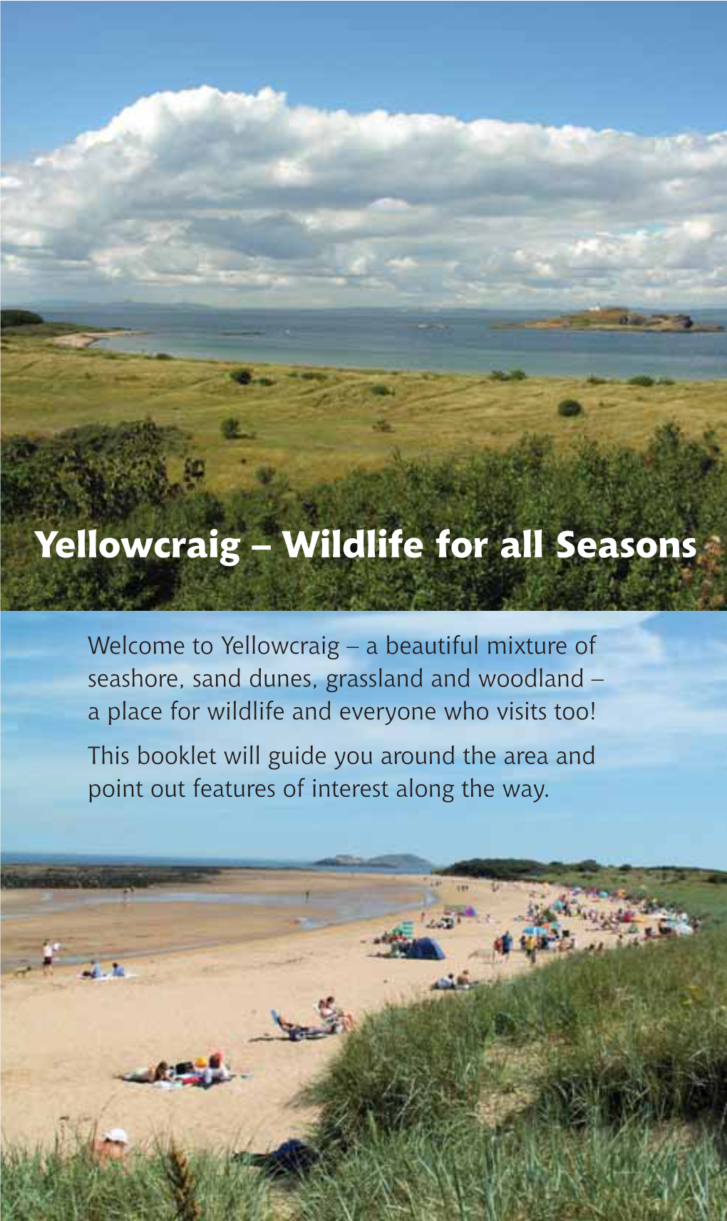 Yellowcraig – Wildlife for All Seasons