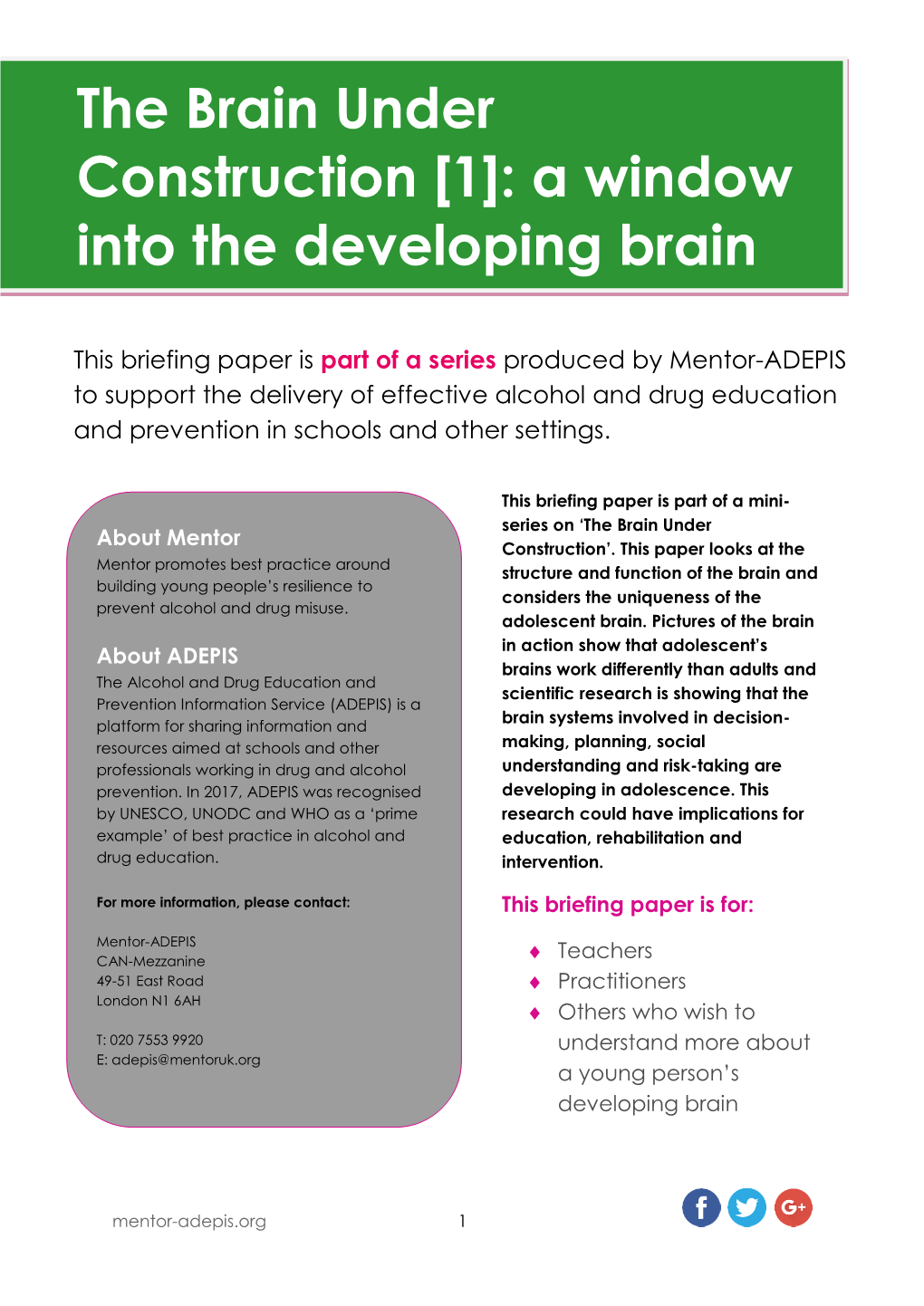 The Brain Under Construction [1]: a Window Into the Developing Brain