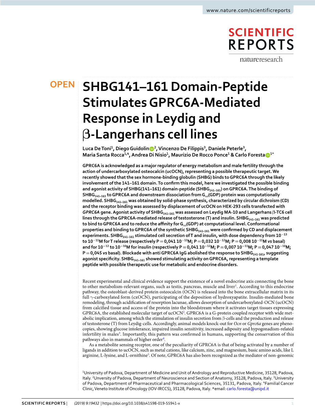 SHBG141–161 Domain-Peptide Stimulates GPRC6A-Mediated