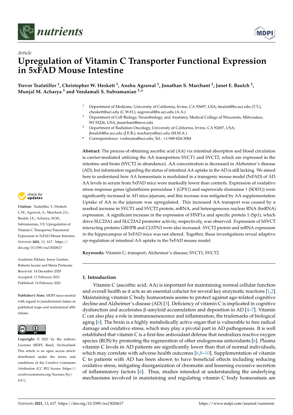 Upregulation of Vitamin C Transporter Functional Expression in 5Xfad Mouse Intestine