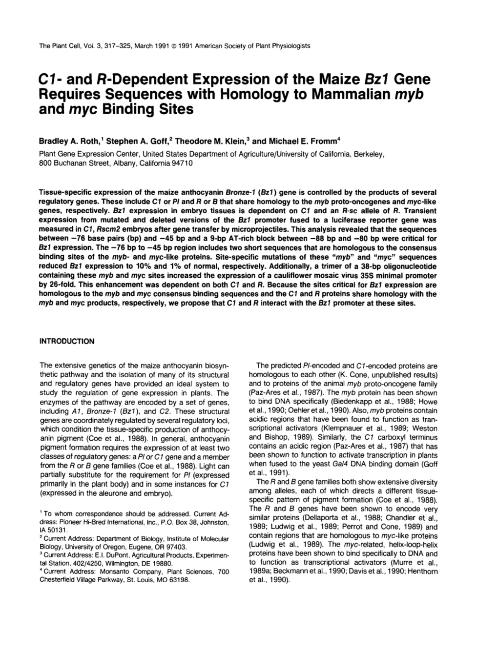 And R-Dependent Expression of the Maize Bzi Gene Requires Sequences with Homology to Mammalian Myb and Myc Binding Sites