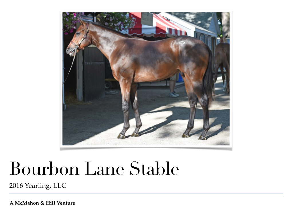 Bourbon Lane 2016 Yearling Brochure