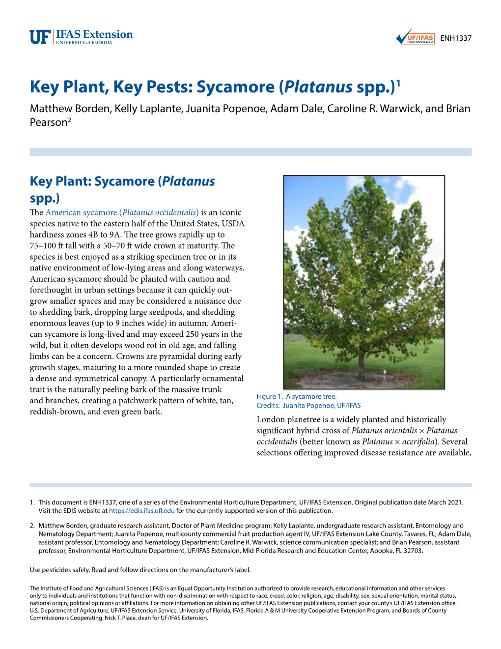 Platanus Spp.)1 Matthew Borden, Kelly Laplante, Juanita Popenoe, Adam Dale, Caroline R